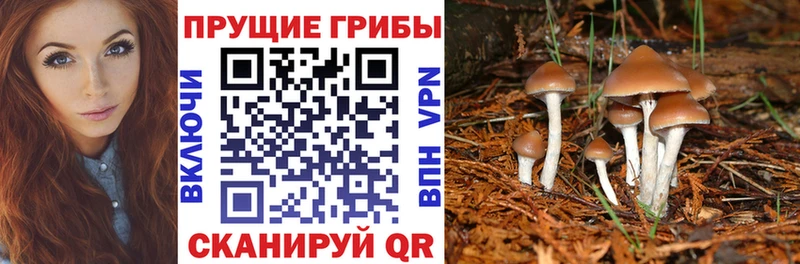 даркнет сайт  Белёв  Галлюциногенные грибы мухоморы 